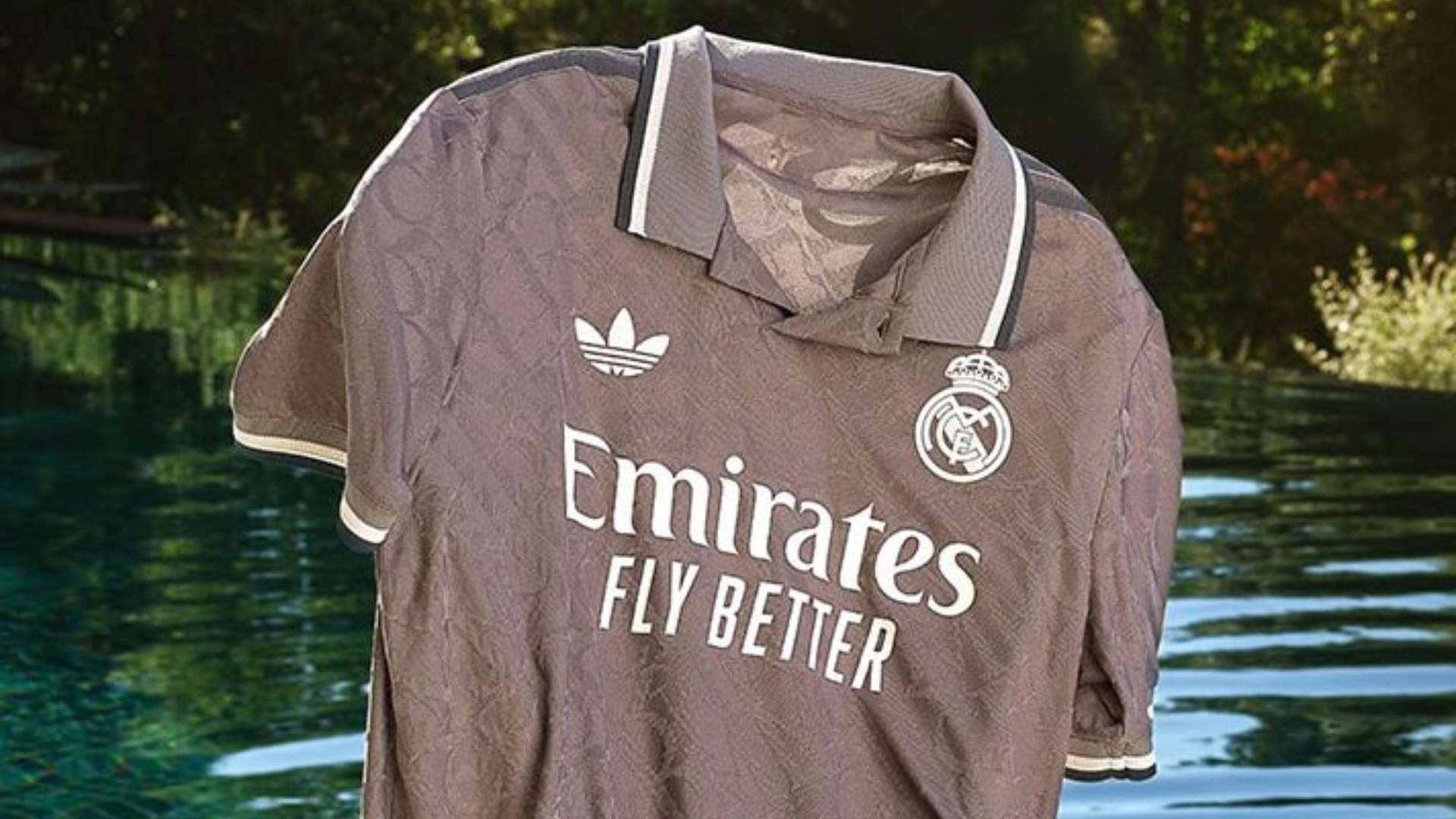 家和粉丝来 家和粉丝来